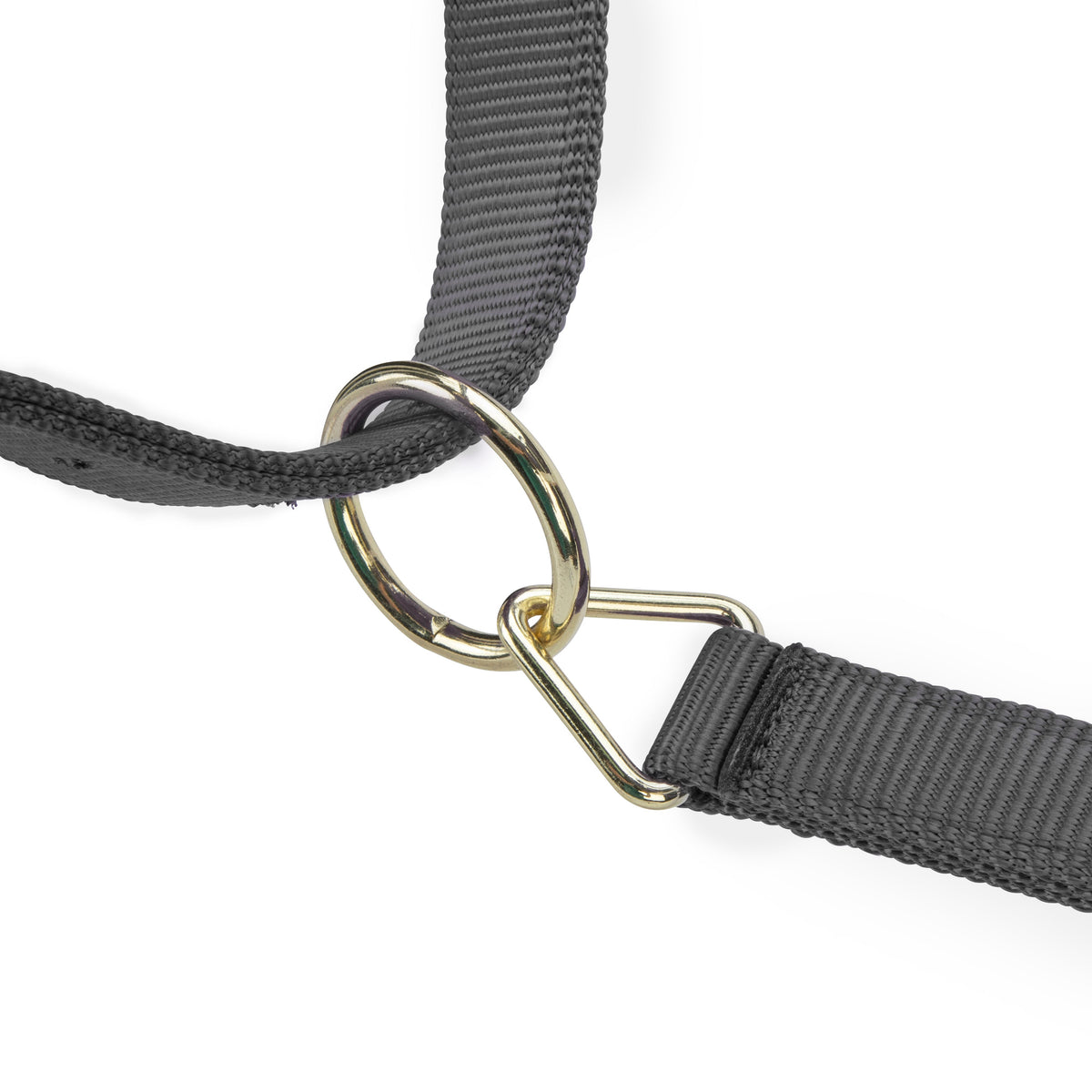 Shires ARMA Premium Adjustable Headcollar