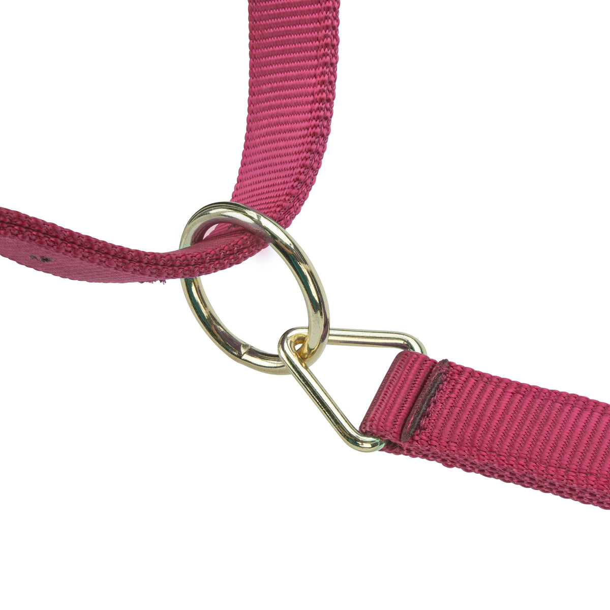 Shires ARMA Premium Adjustable Headcollar