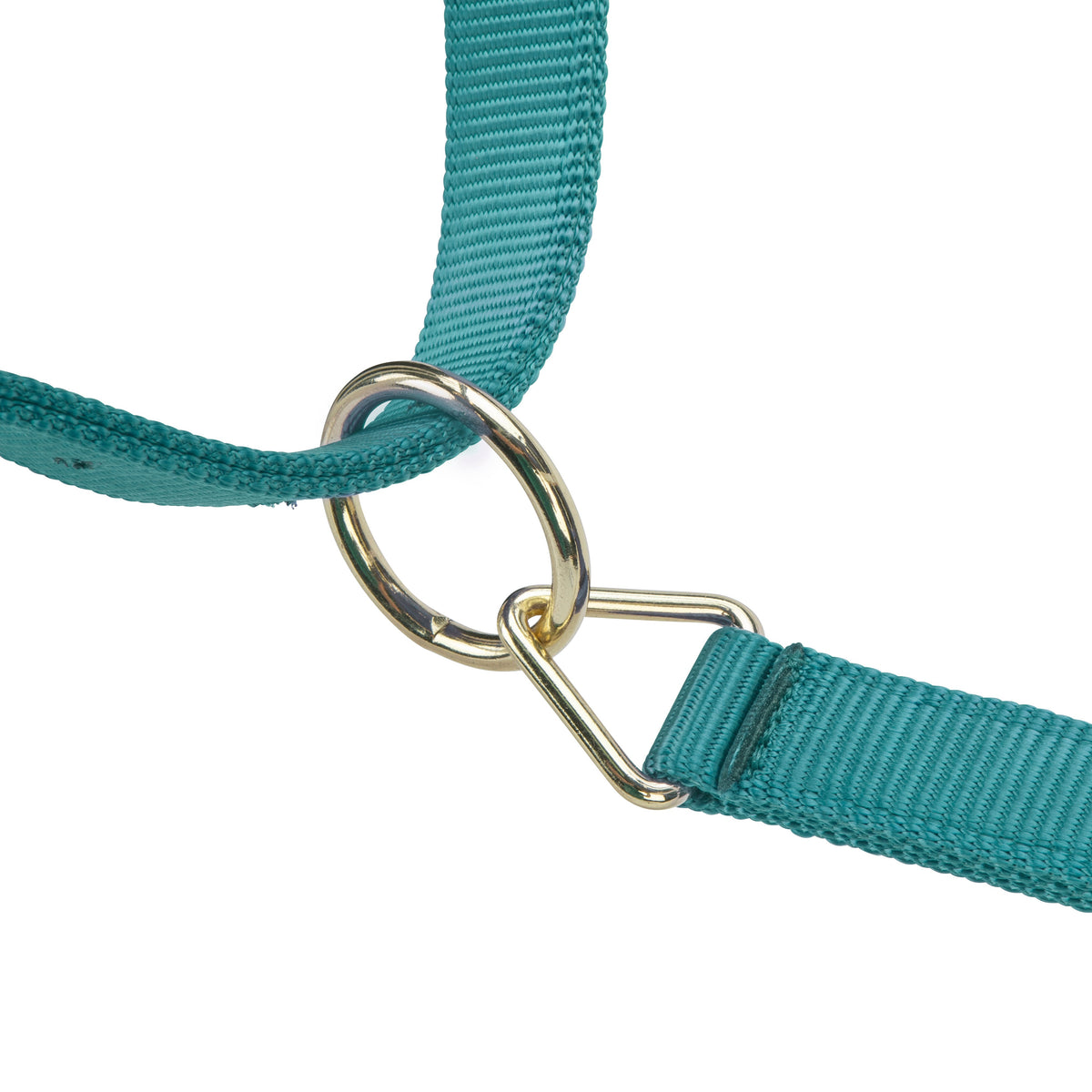 Shires ARMA Premium Adjustable Headcollar