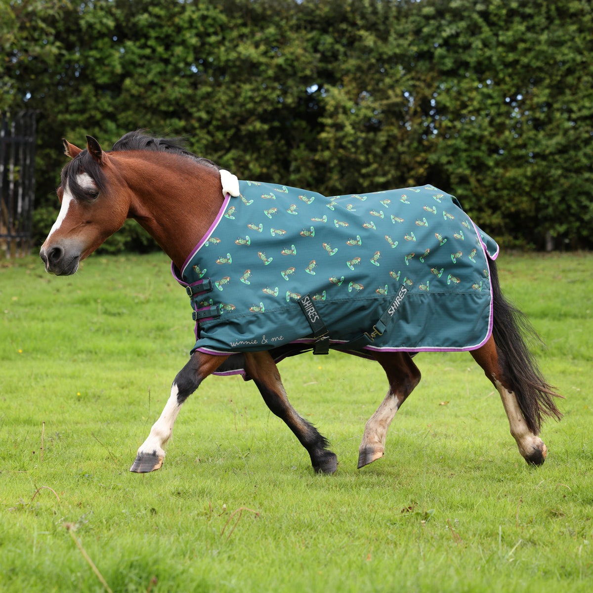 Shires Winnie & Me 100g Turnout Rug #colour_green