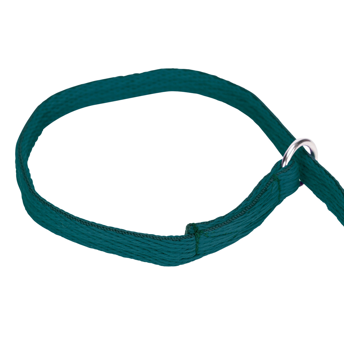Shires Digby & Fox Cushion Web Slip Lead