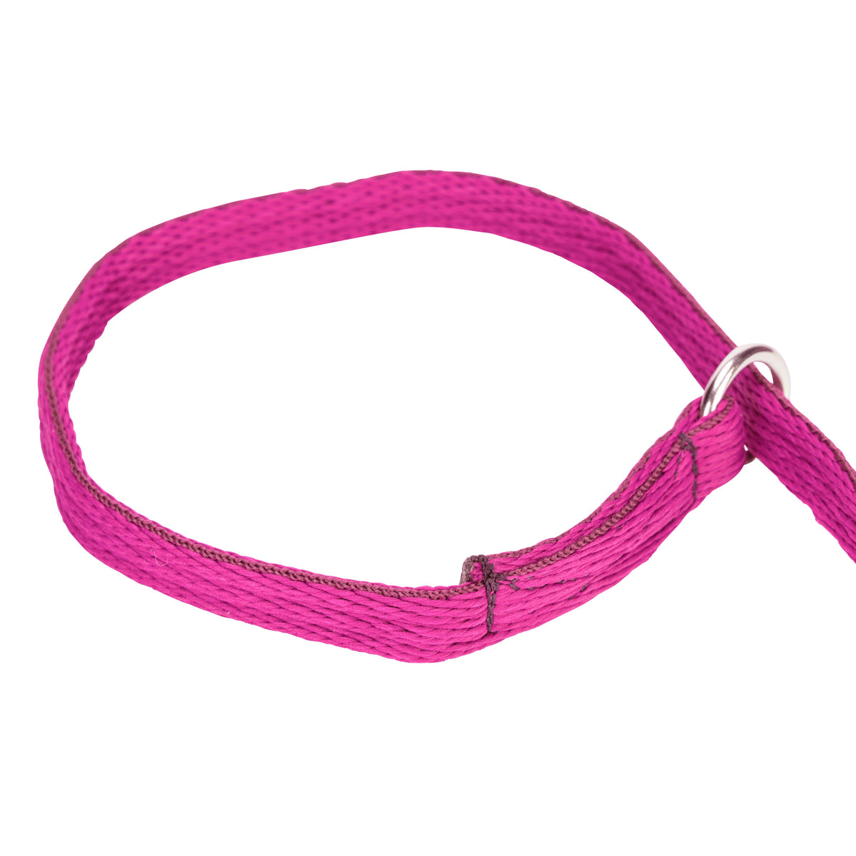 Shires Digby & Fox Cushion Web Slip Lead