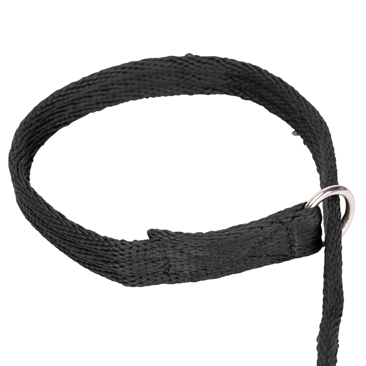 Shires Digby & Fox Cushion Web Slip Lead