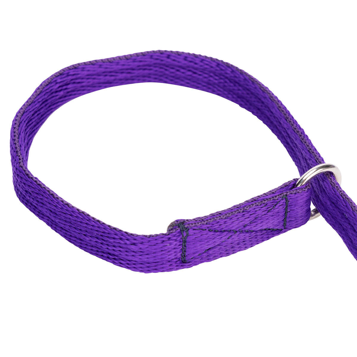 Shires Digby & Fox Cushion Web Slip Lead