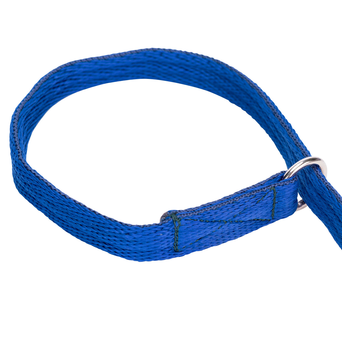 Shires Digby & Fox Cushion Web Slip Lead