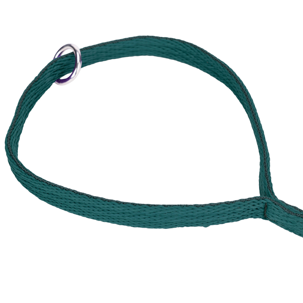 Shires Digby & Fox Cushion Web Lead
