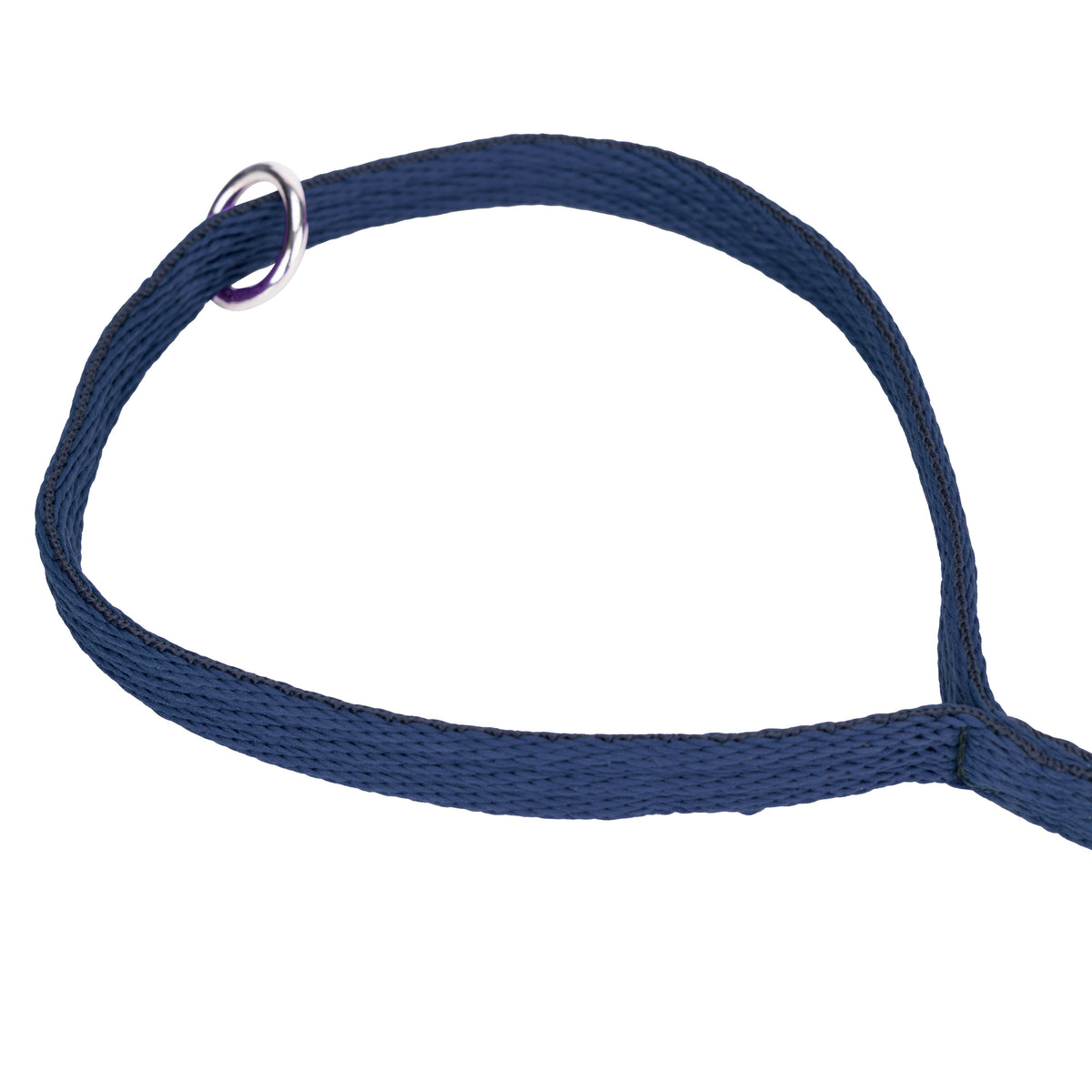 Shires Digby & Fox Cushion Web Lead