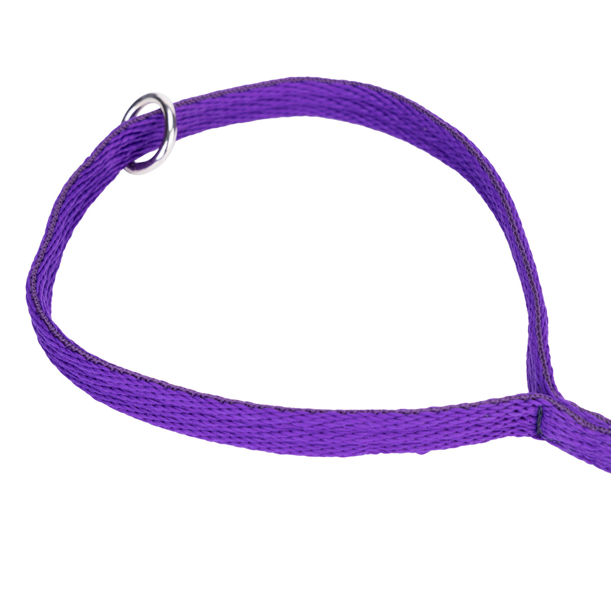 Shires Digby & Fox Cushion Web Lead