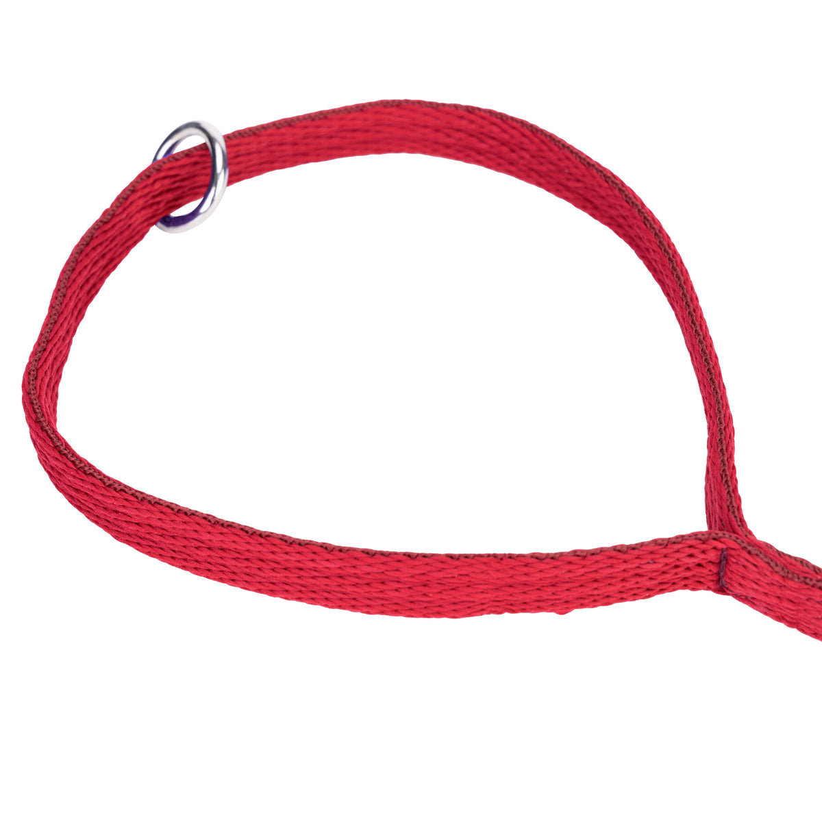 Shires Digby & Fox Cushion Web Lead