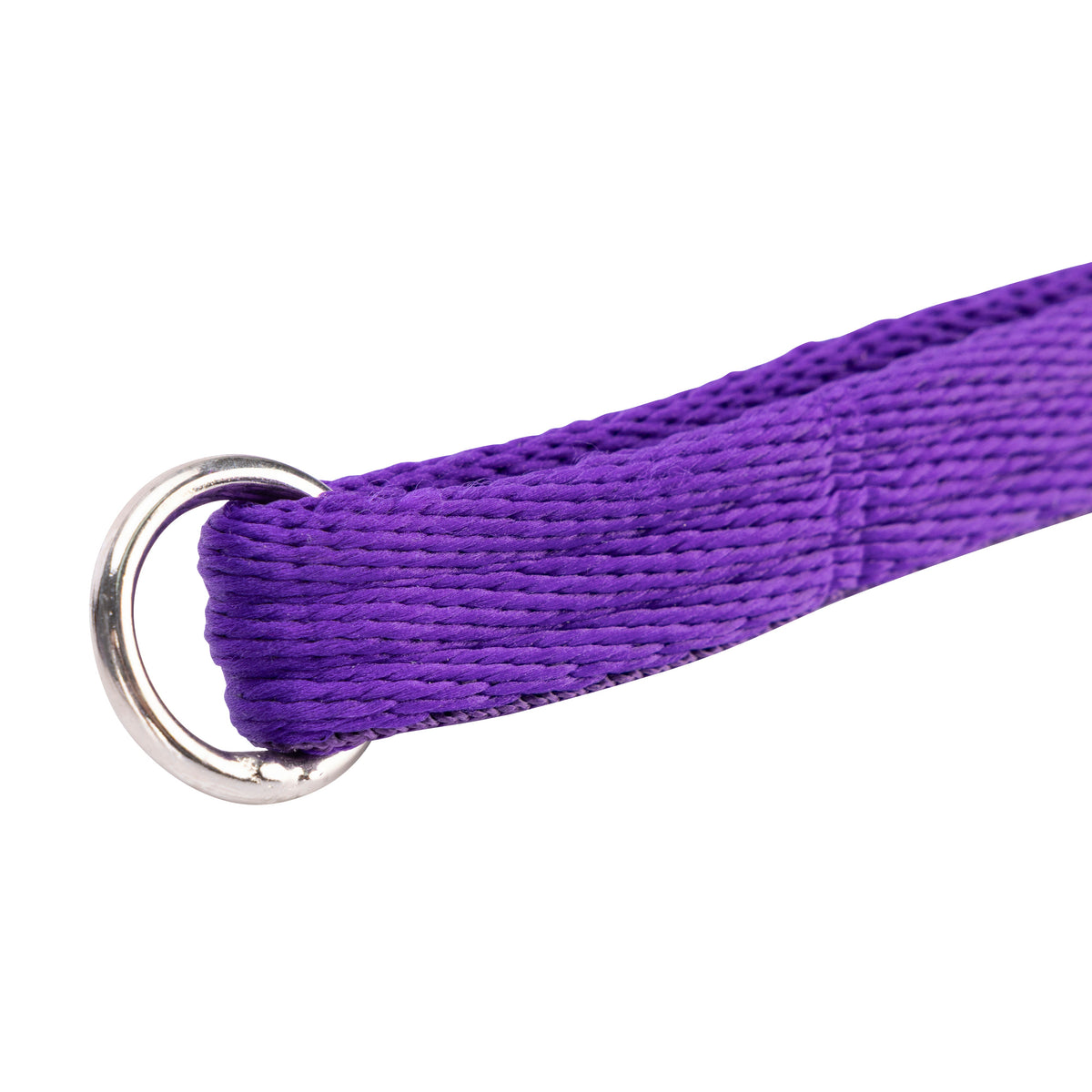 Shires Digby & Fox Cushion Web Lead