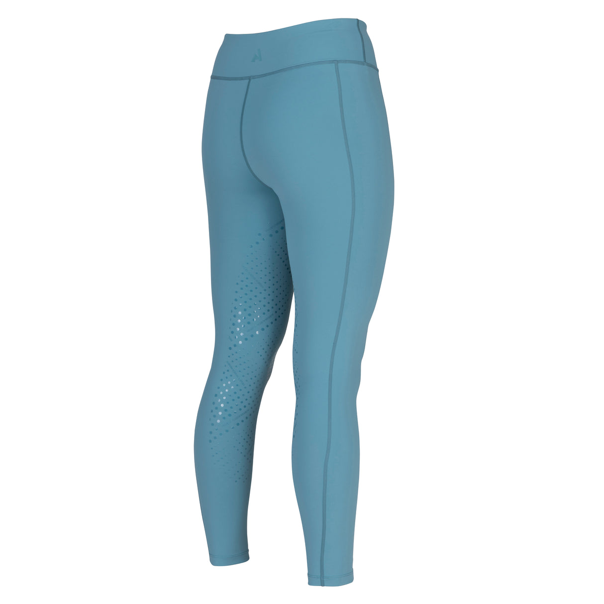 Shires Aubrion Ladies React Non-Stop Riding Tights #colour_haze