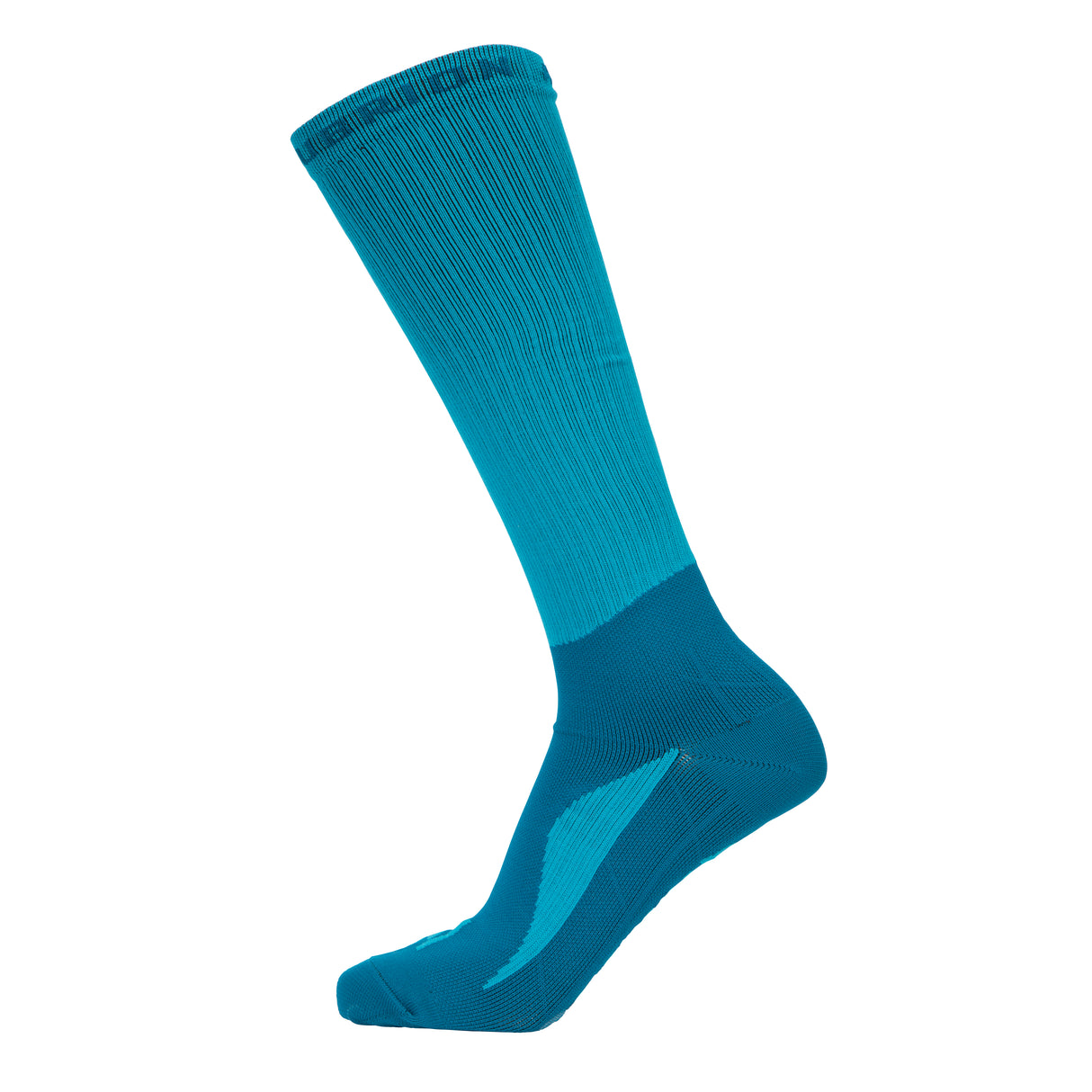 Shires Aubrion React Technical Socks #colour_kingfisher