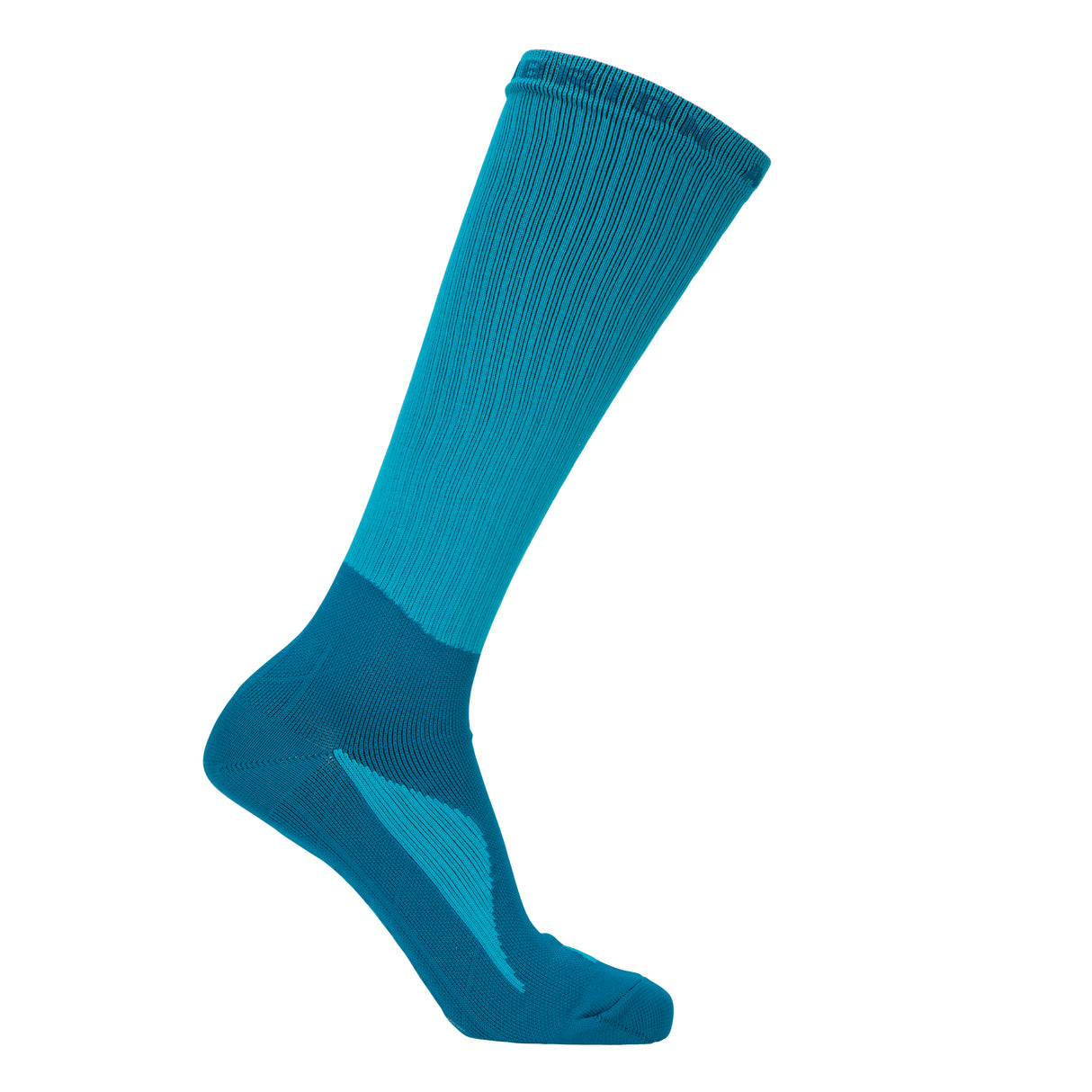 Shires Aubrion React Technical Socks #colour_kingfisher
