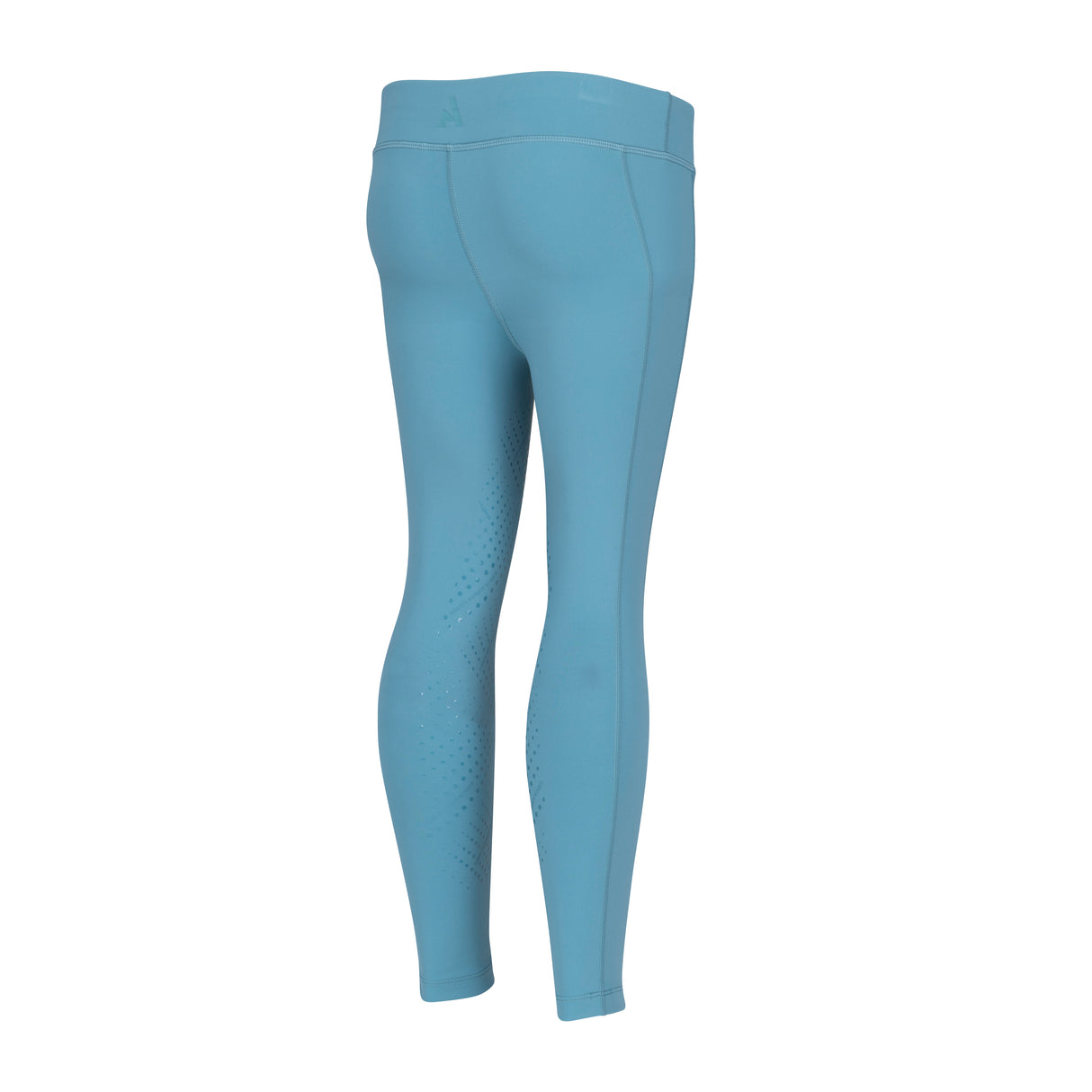 Shires Aubrion Young Rider React Non-Stop Riding Tights #colour_haze