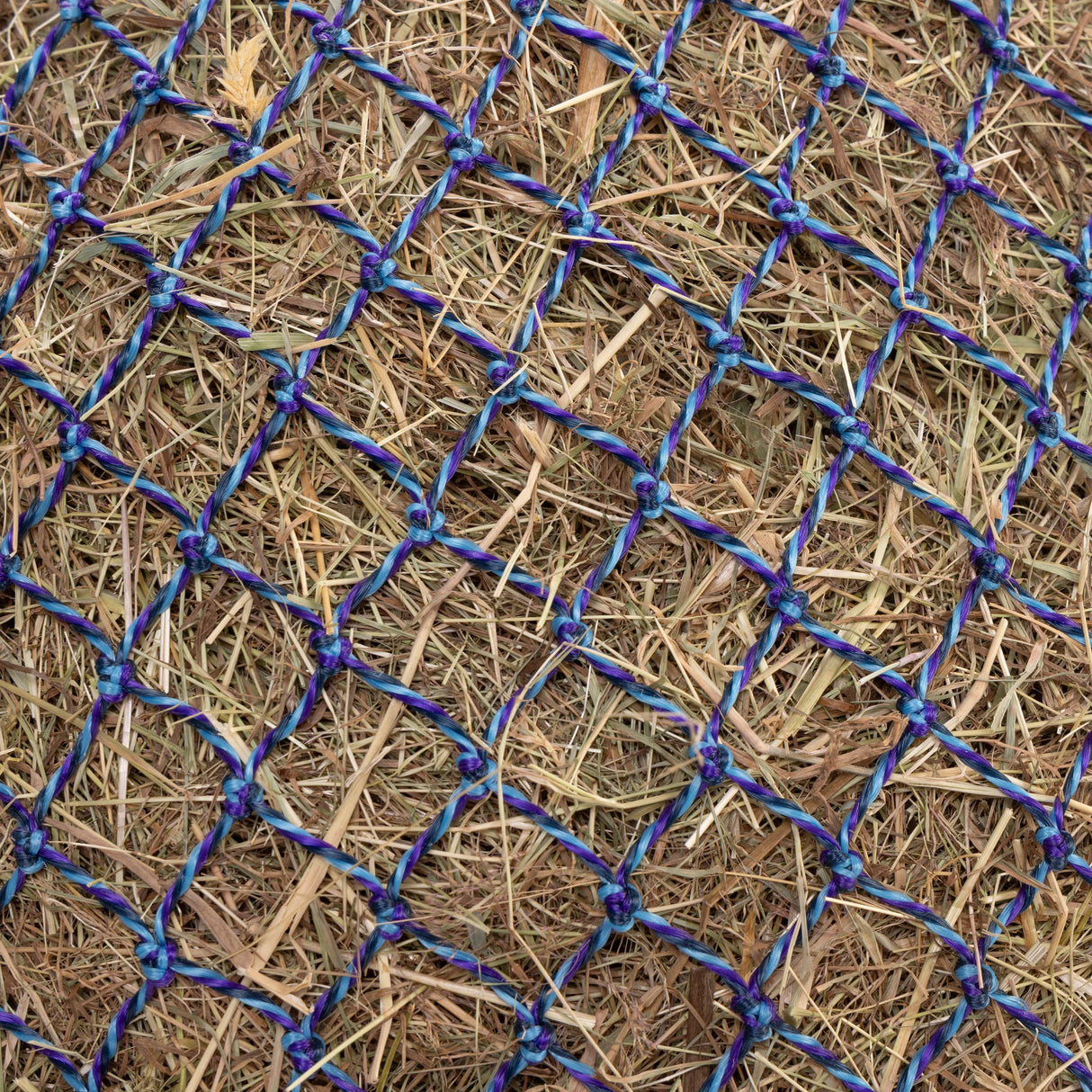 Shires Greedy Feeder Colour-Twist Net #colour_blue-twist