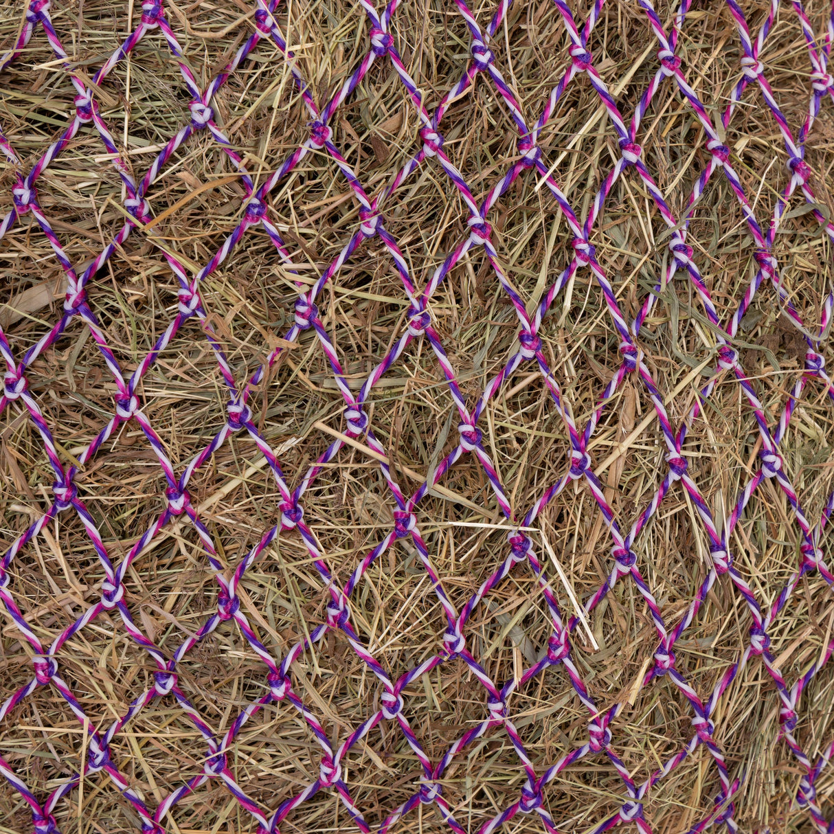 Shires Greedy Feeder Colour-Twist Net #colour_pink-twist