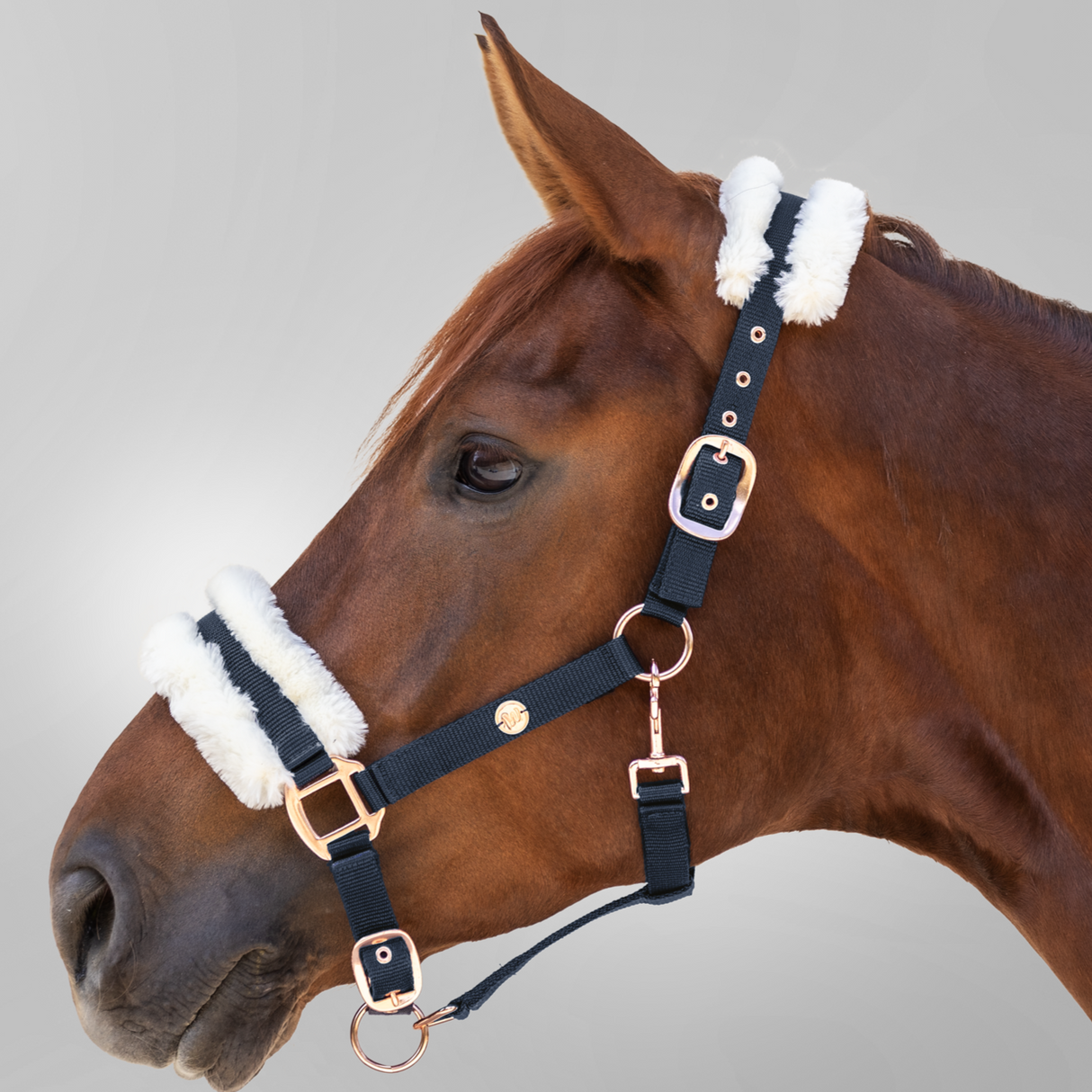 Waldhausen Modern Rose Halter #colour_night-blue-rose-gold