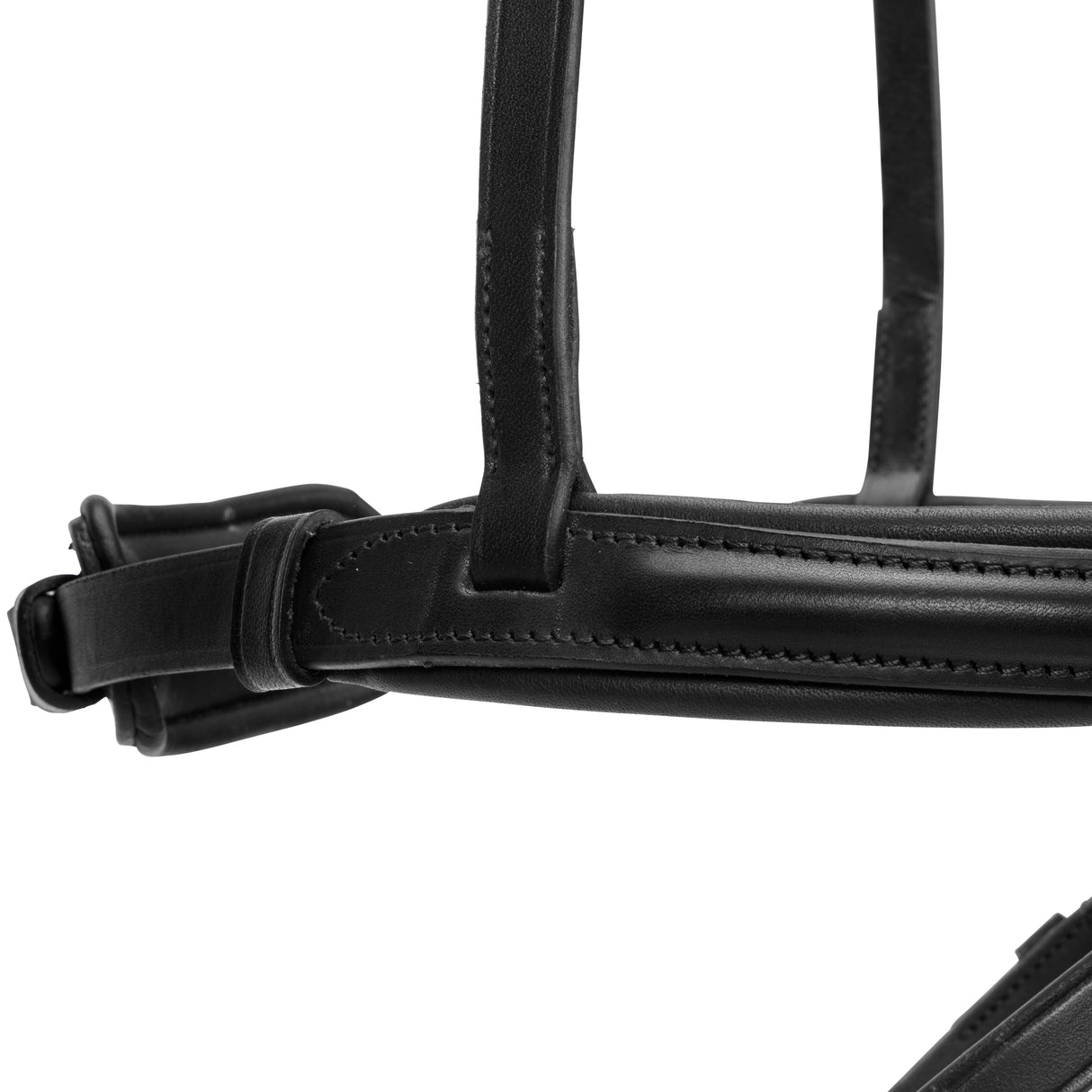 Shires Velociti LUSSO Elite Flash Noseband #colour_black