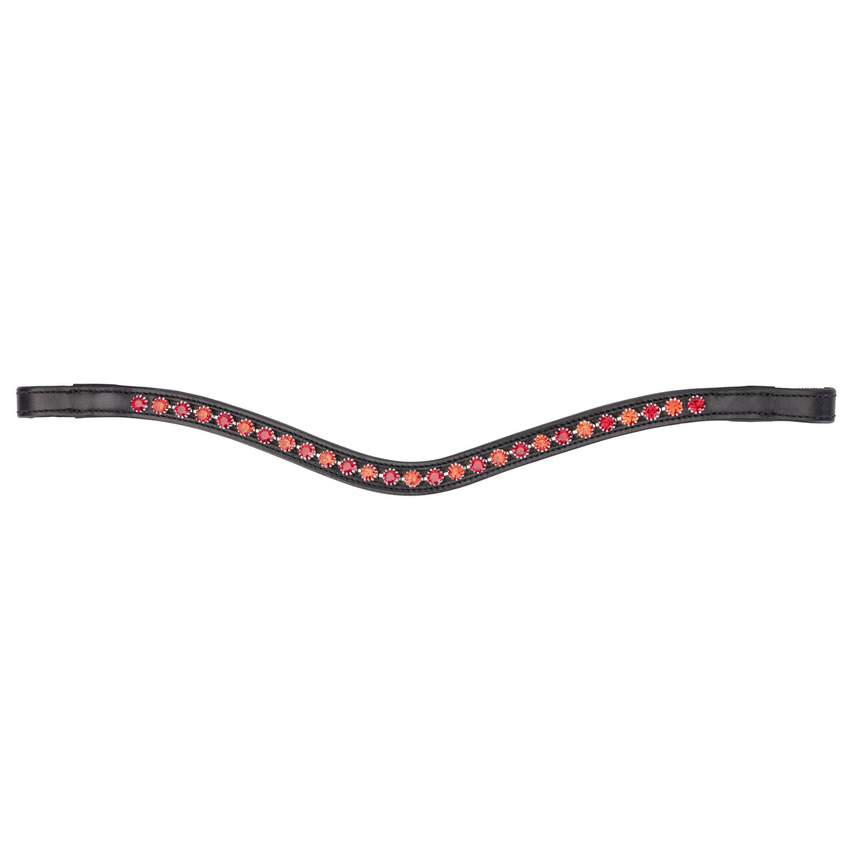 Shires Velociti GARA Two Tone Browband