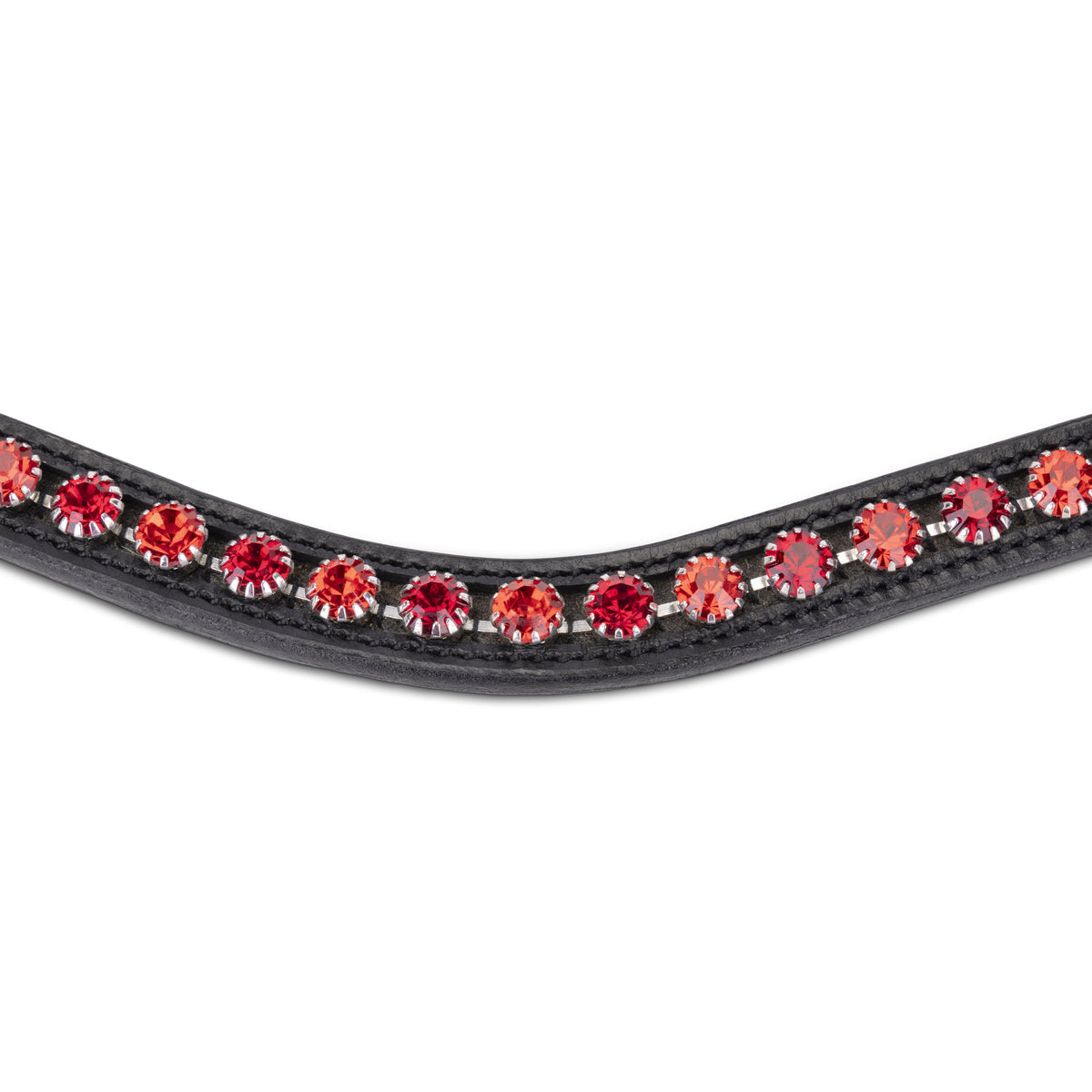 Shires Velociti GARA Two Tone Browband
