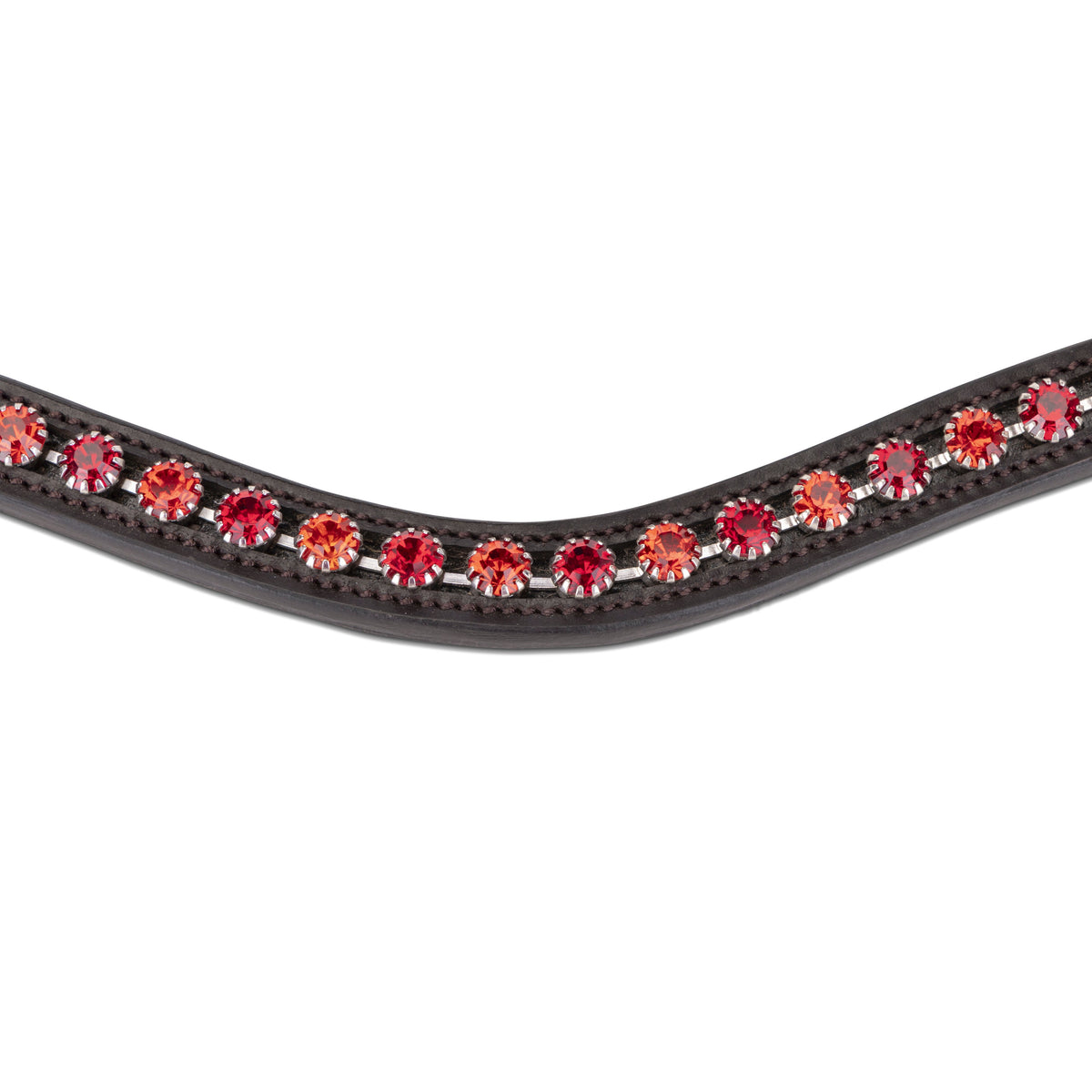 Shires Velociti GARA Two Tone Browband