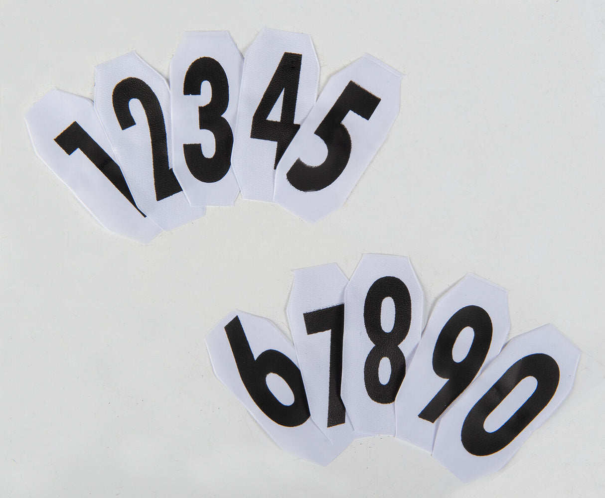 HKM Alphabet and Numbers for Competition