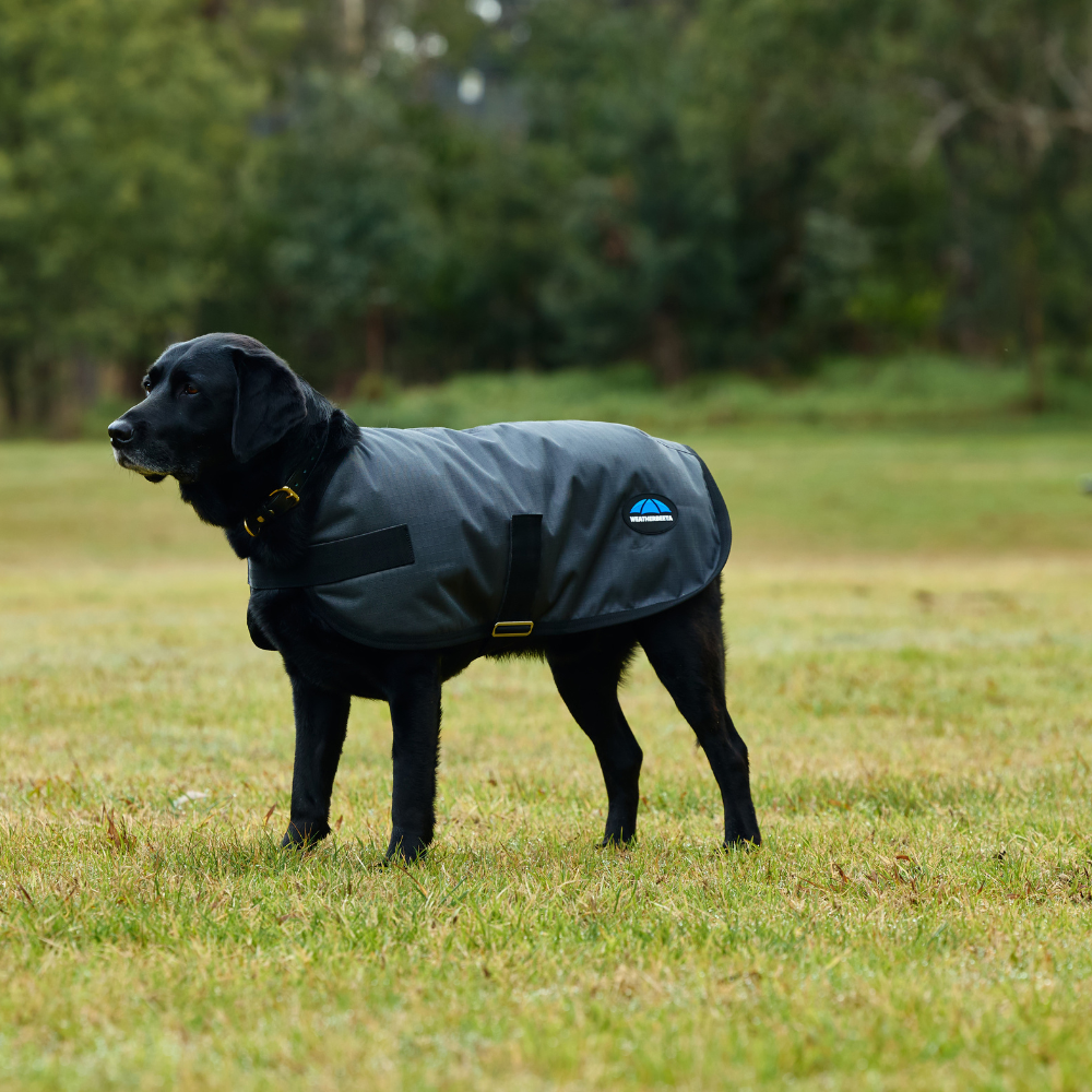 Weatherbeeta Comfitec Classic Waterproof Dog Coat #colour_grey