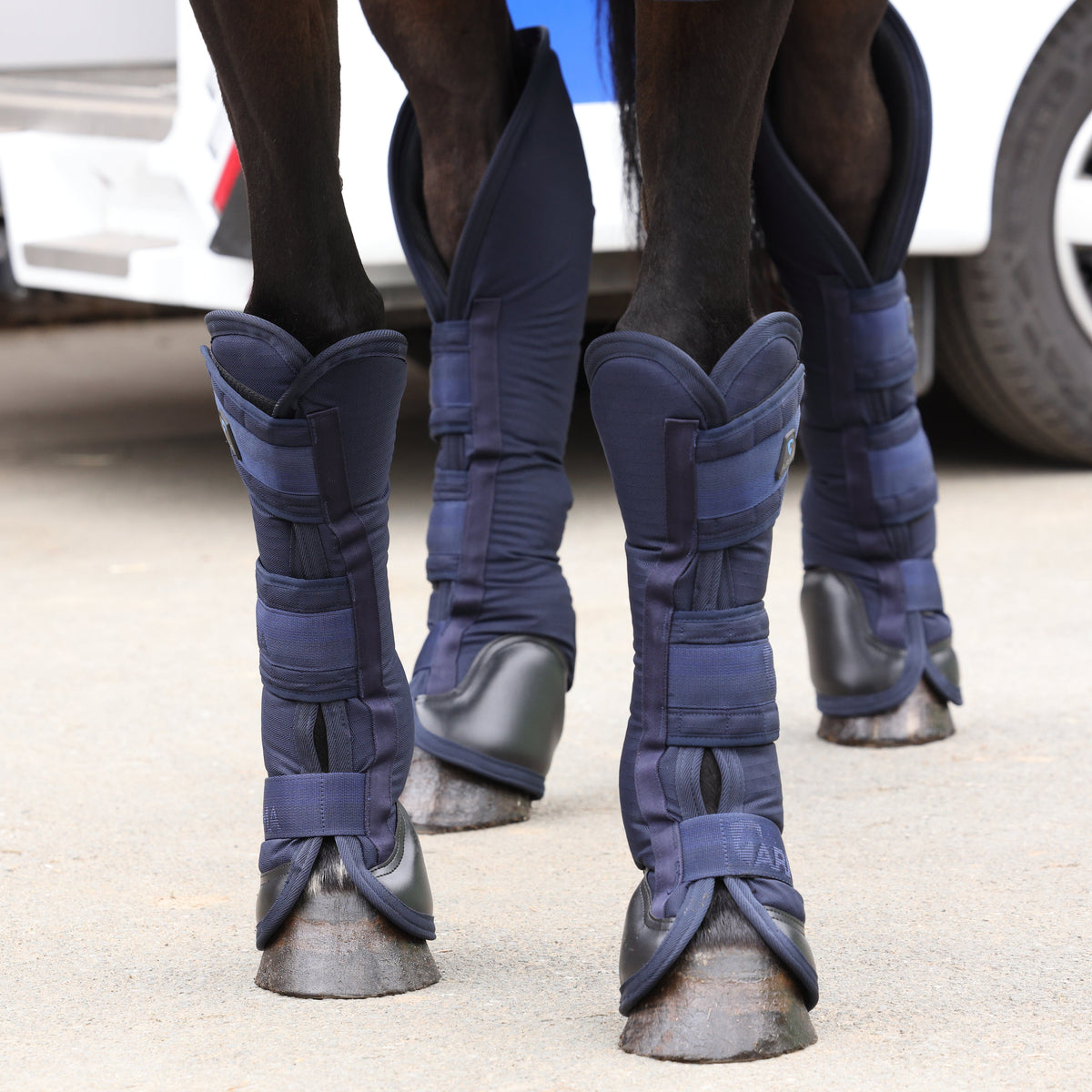 Shires ARMA Air Defense Reisestiefel