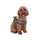 HKM Dog Harness -Buddy Soft- #colour_stone-grey
