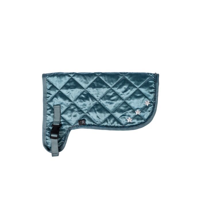 HKM Rug -Hobby Horsing Premium- #colour_turquoise