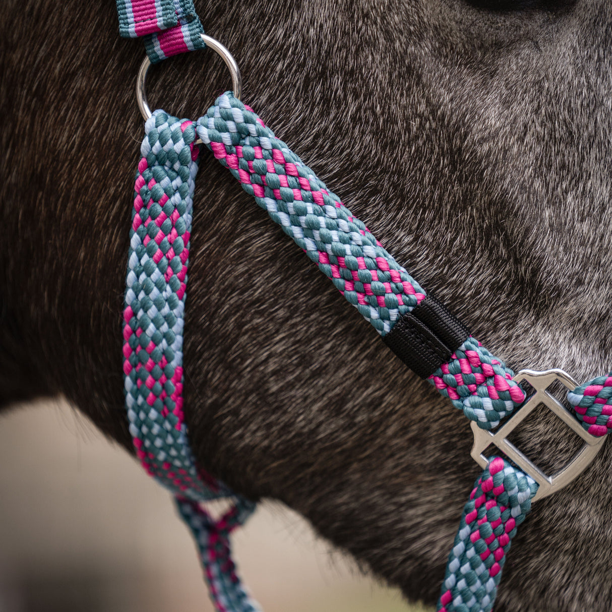 HKM Head Collar -Manchester-