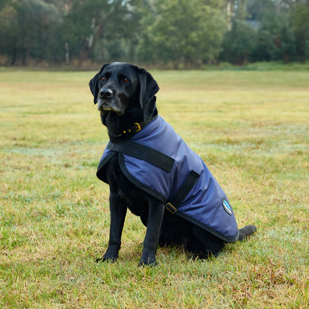 Weatherbeeta Comfitec Classic Waterproof Dog Coat #colour_navy