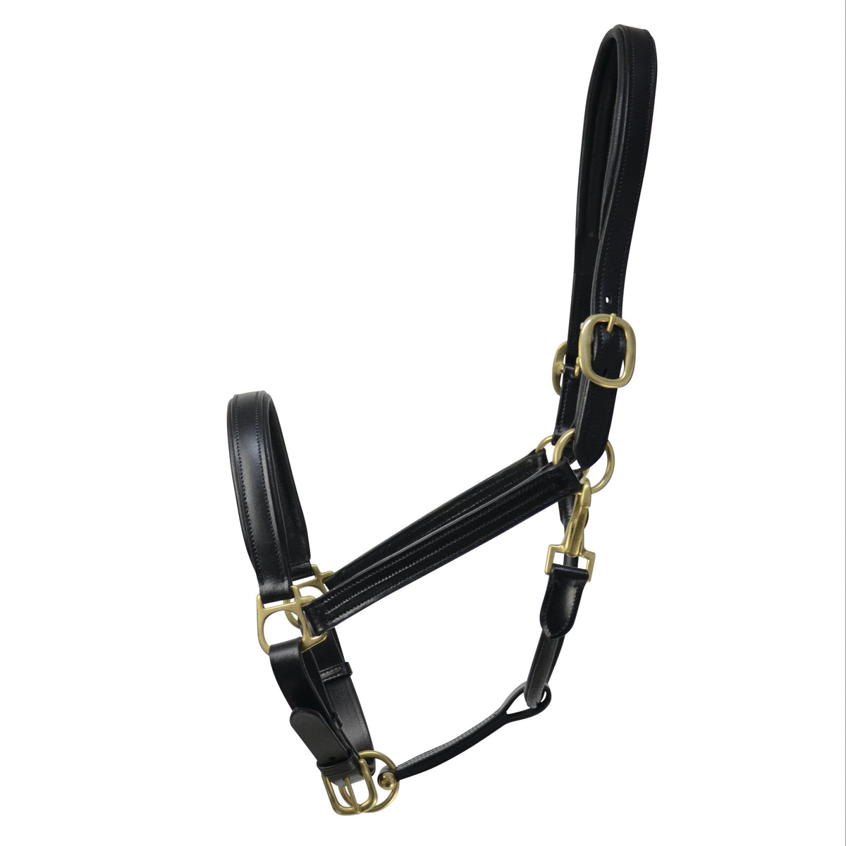 Coldstream Leather Padded Headcollar Brown