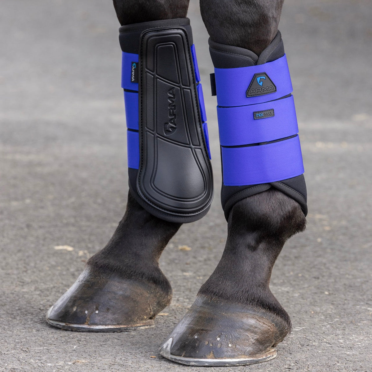 Shires ARMA Neopren-Bürststiefel