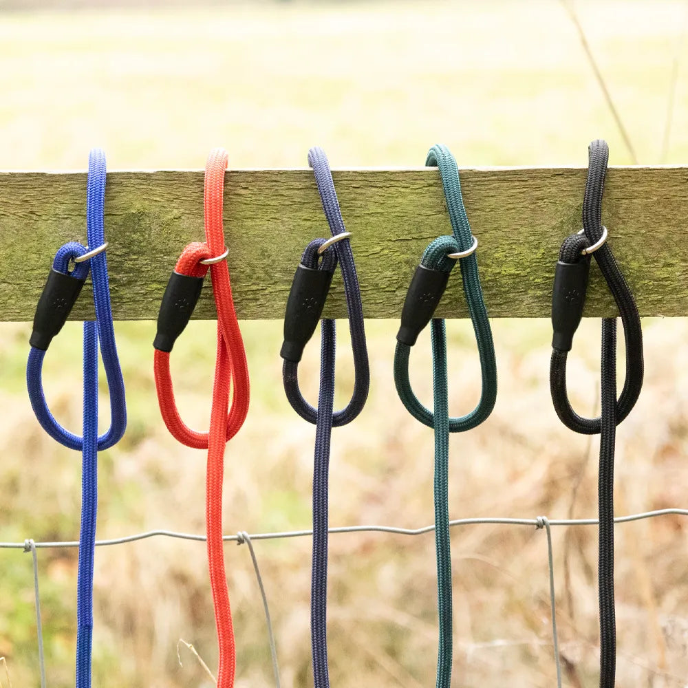 Benji & Flo Classic Slip Lead