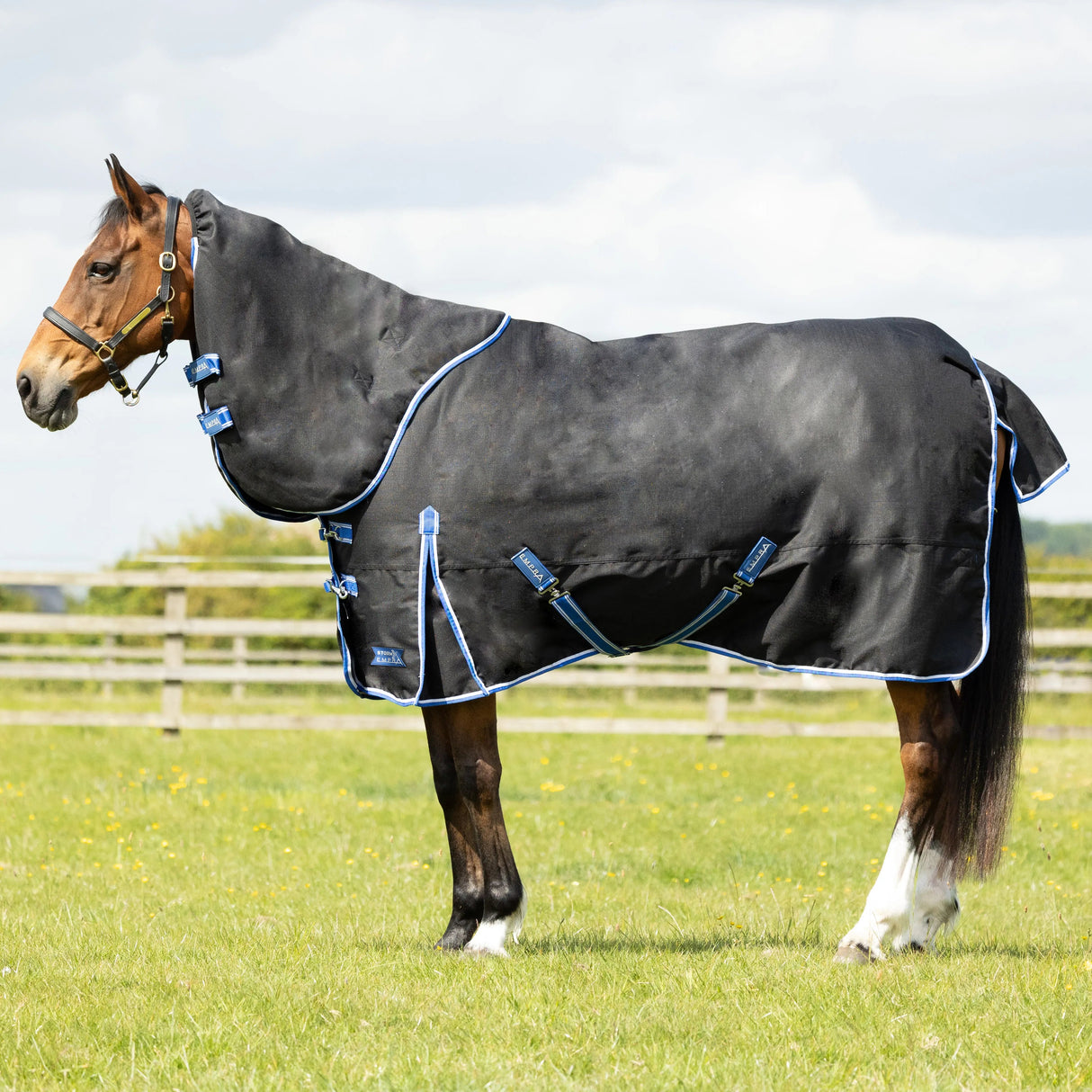 StormX Empra Extra 200g Turnout Rug with Detachable Neck