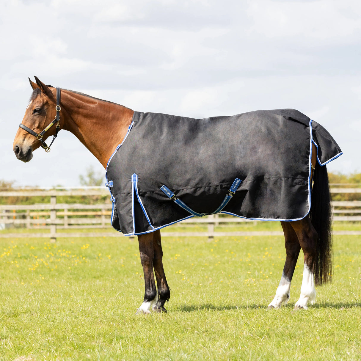 StormX Empra Extra 200g Turnout Rug with Detachable Neck