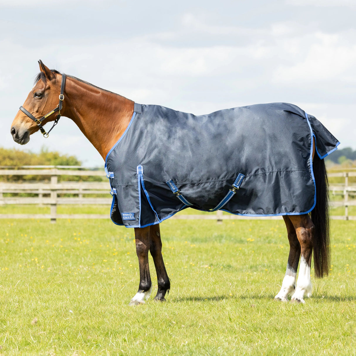 StormX Empra Reflect 0g Turnout Rug