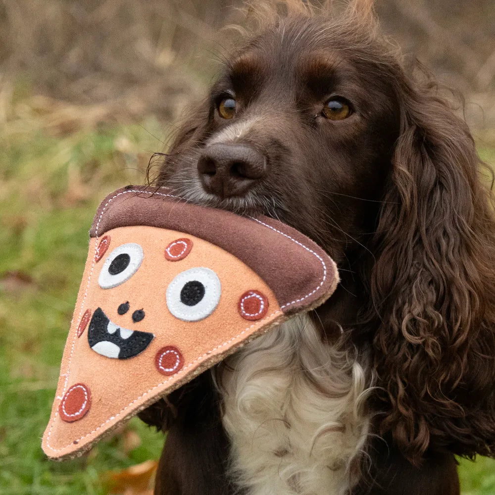 Benji & Flo Crazy Faces Dog Toys