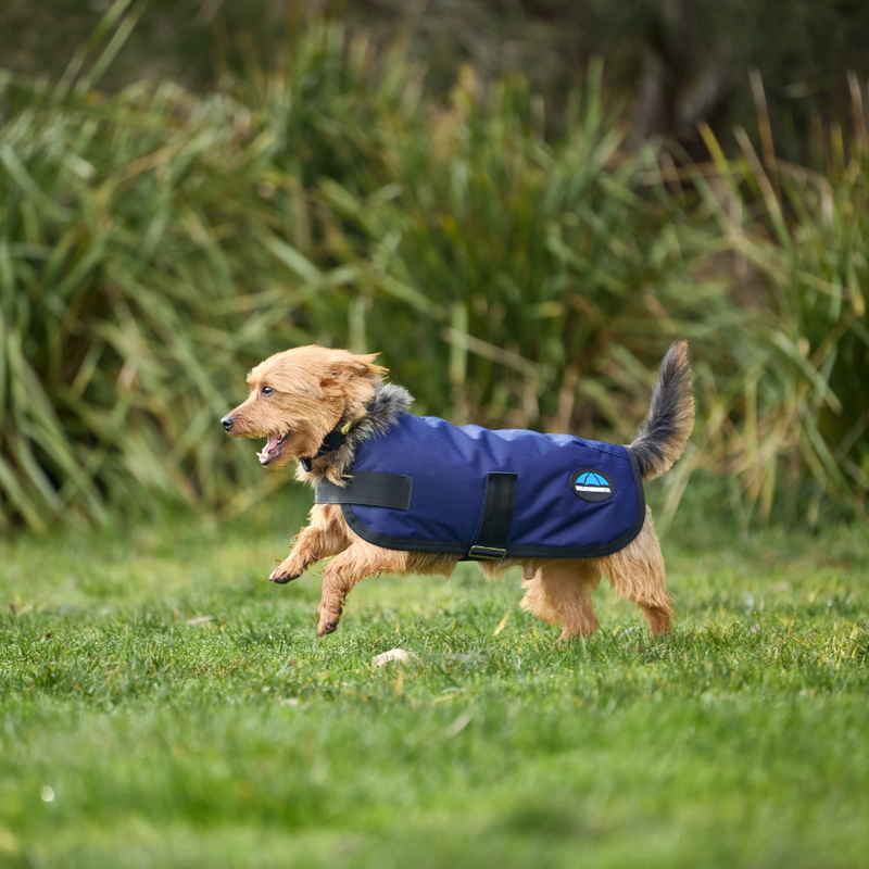 Weatherbeeta Comfitec Classic Waterproof Dog Coat #colour_navy