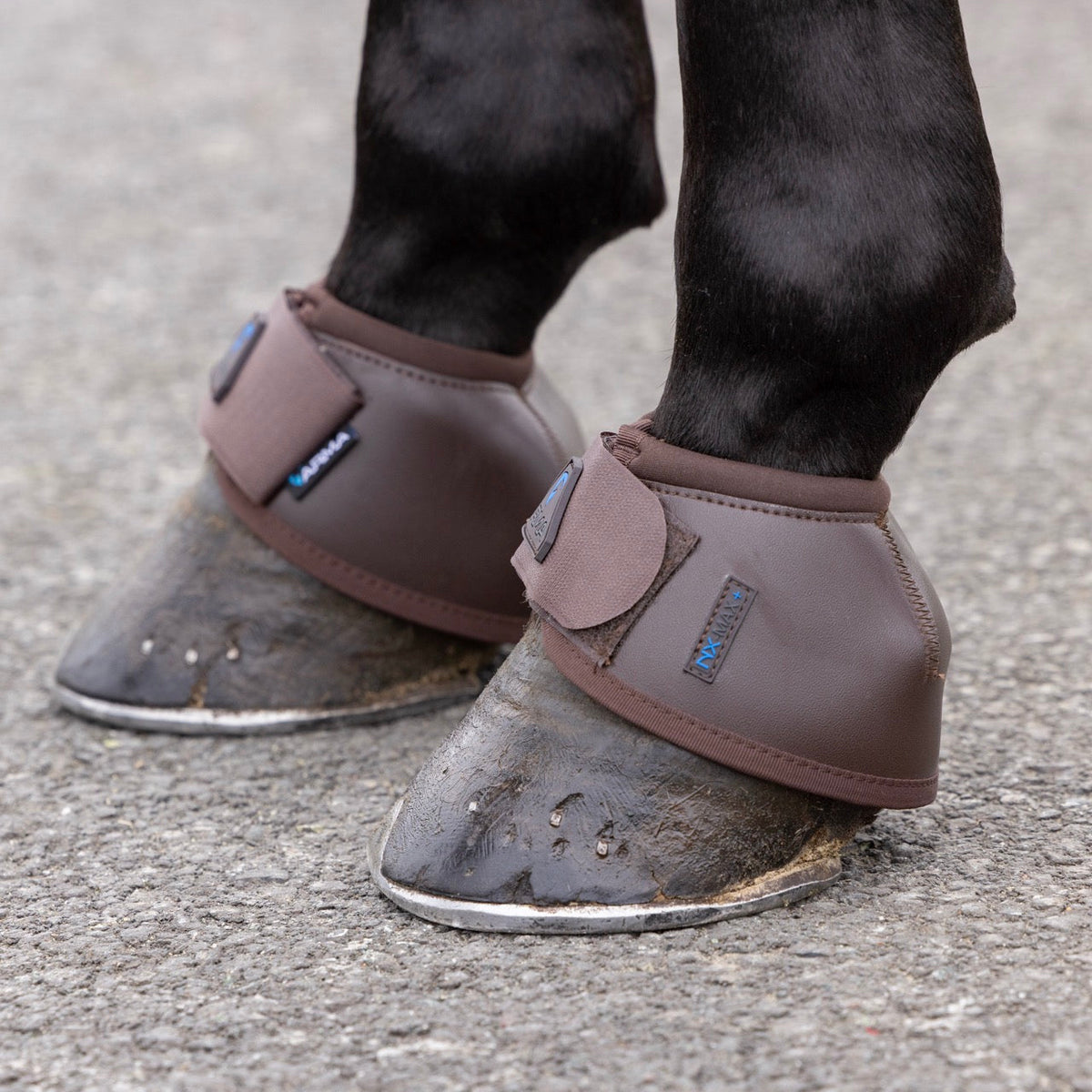 Shires ARMA Anatomic Over Reach Boots