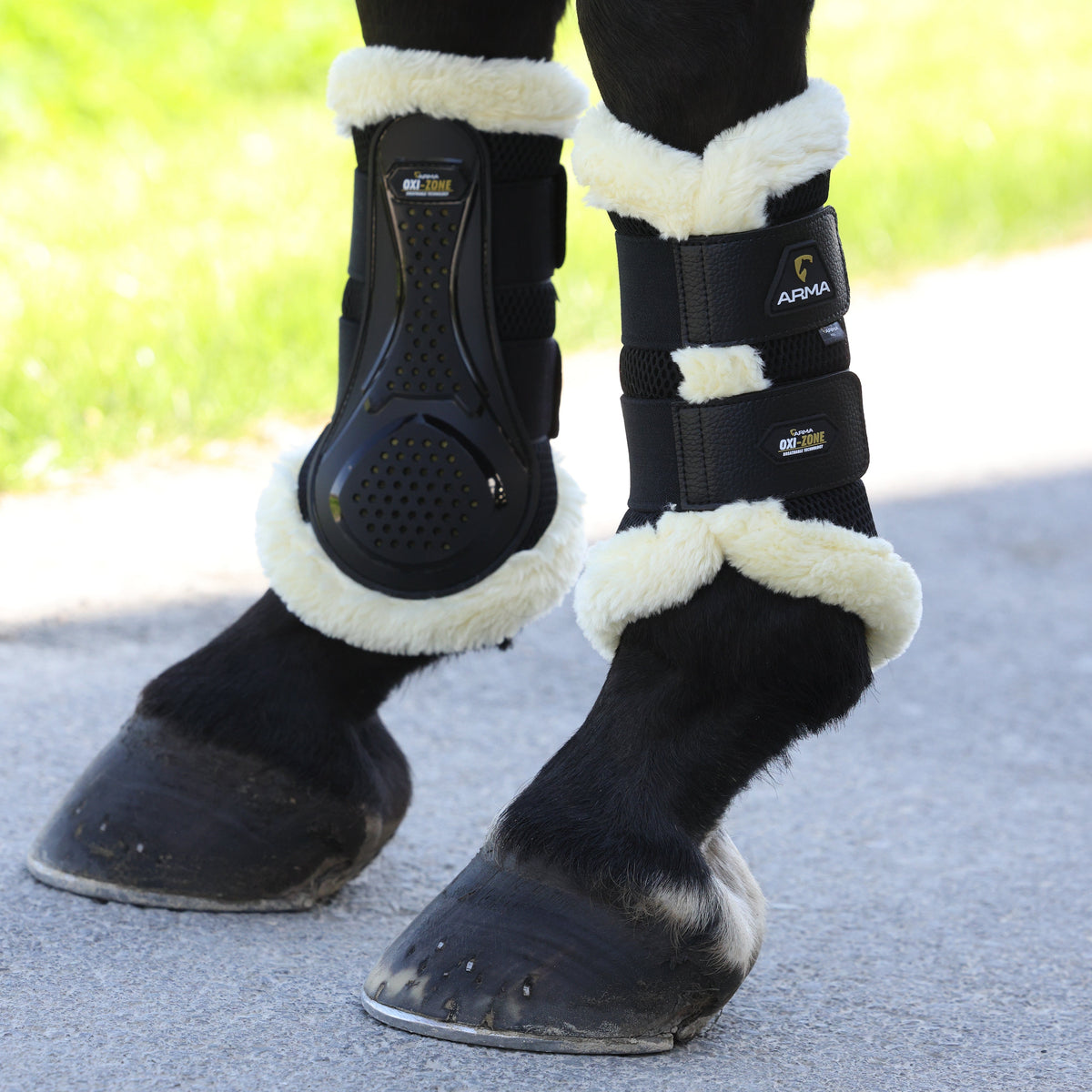 Bottes de brossage Shires ARMA OXI-ZONE Supafleece