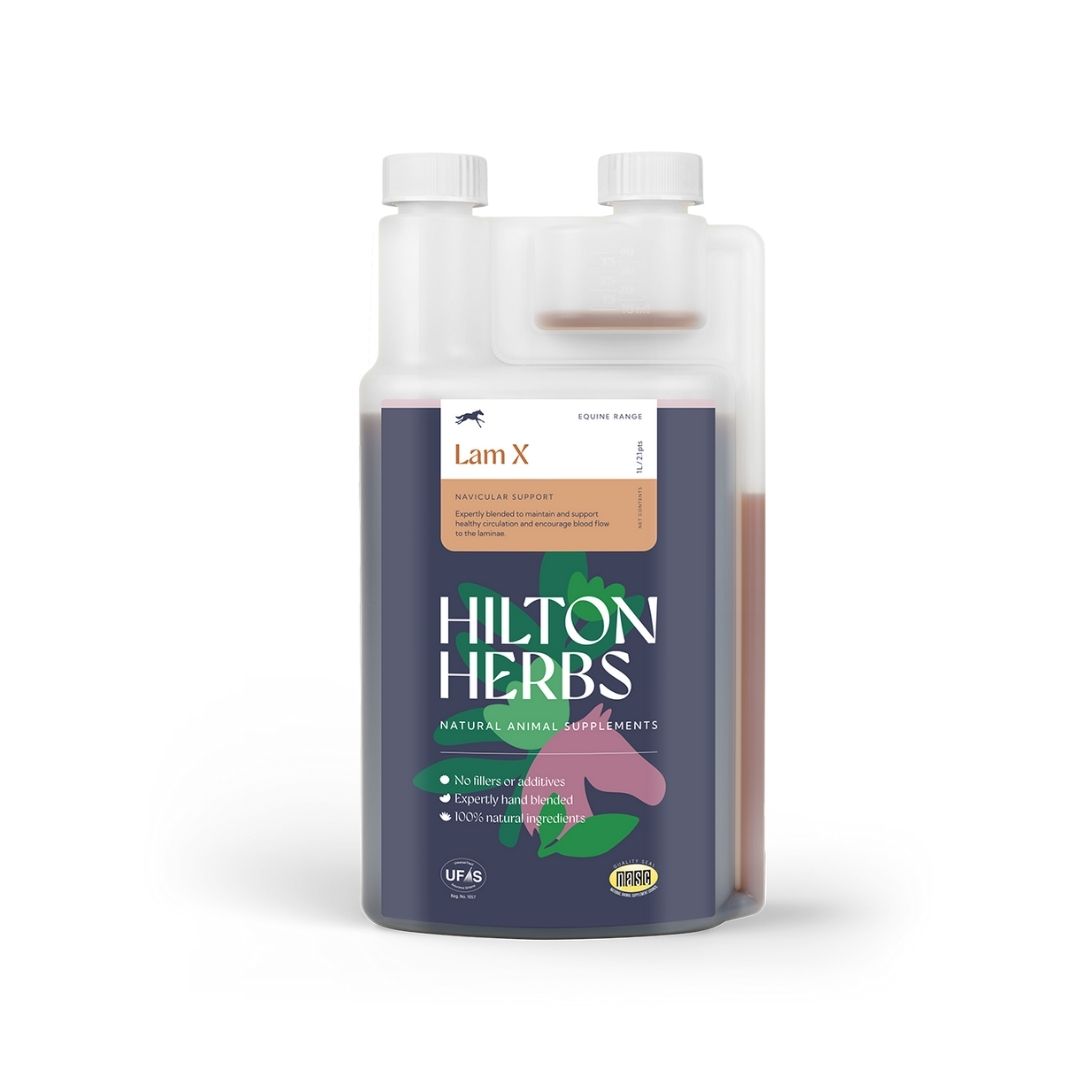 Hilton Herbs Lam X Liquid Supplement