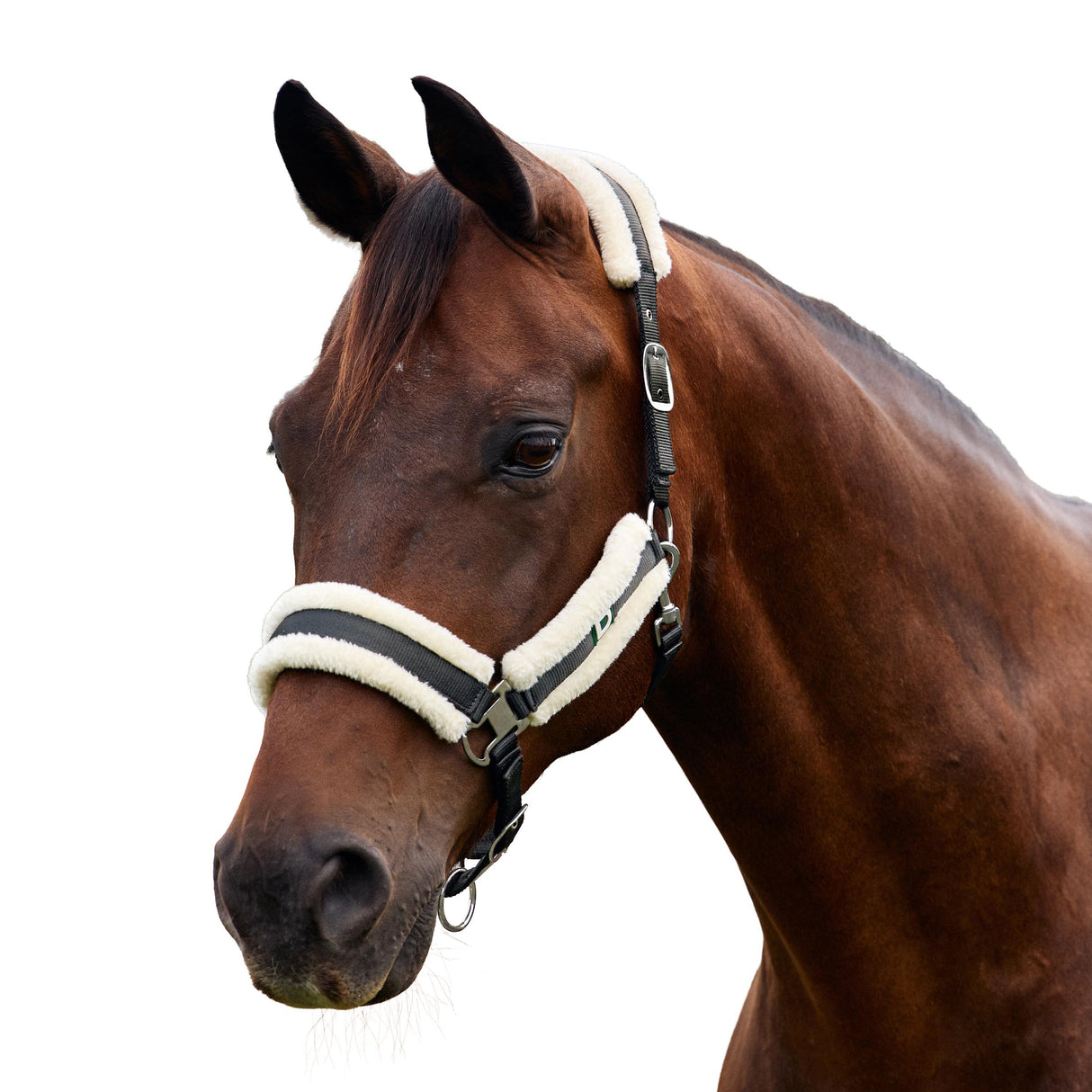 Dublin Soft Fit Fleece Padded Horse Headcollar