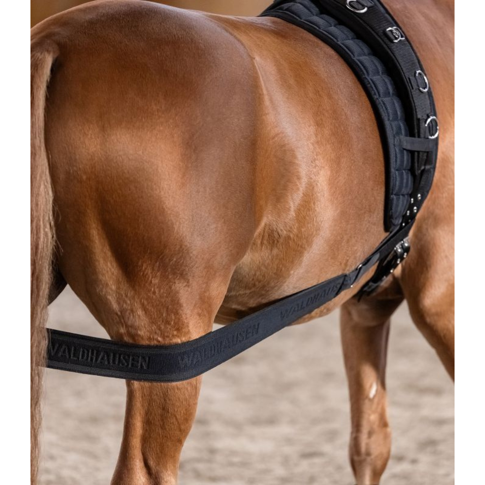 Waldhausen Body Bandage #colour_black