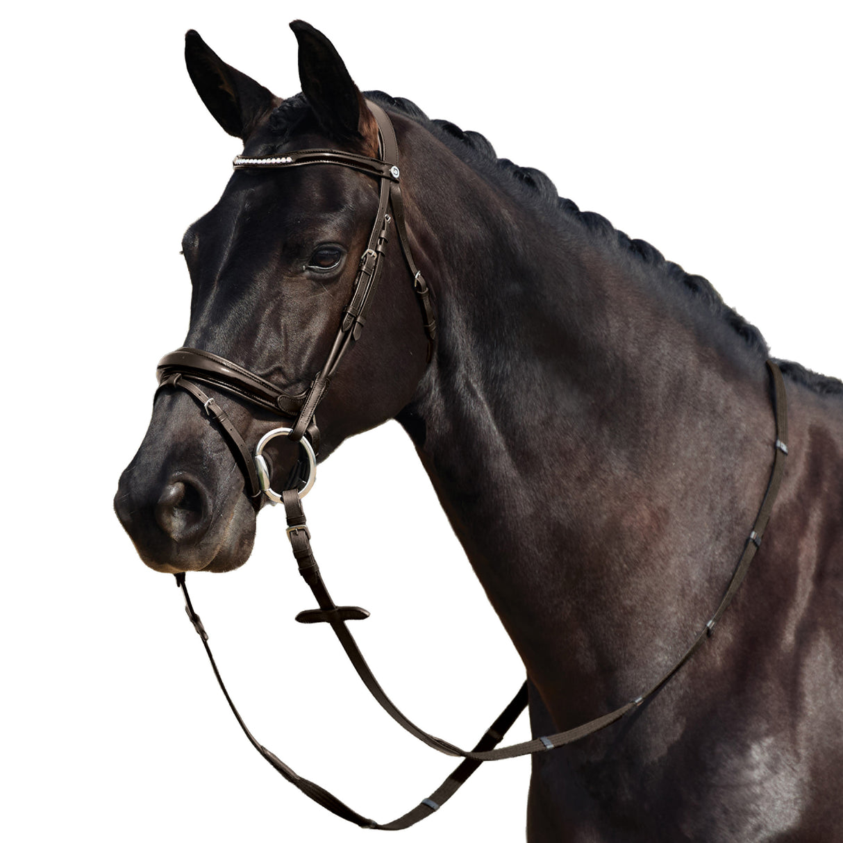 Dublin Padded Mono Crown Patent Flash Bridle with Crystal Browband