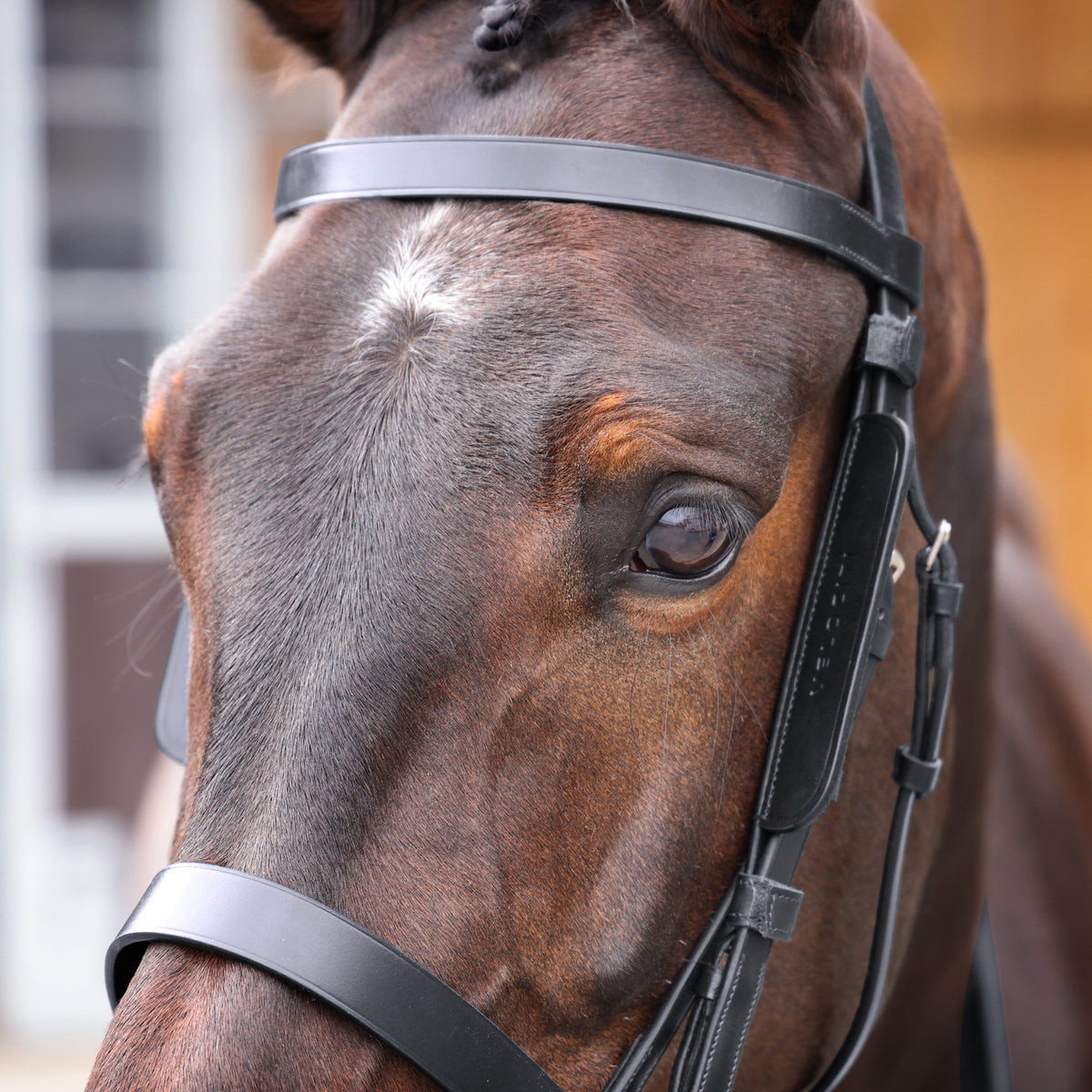 Shires Velociti GARA Leather Blinkers