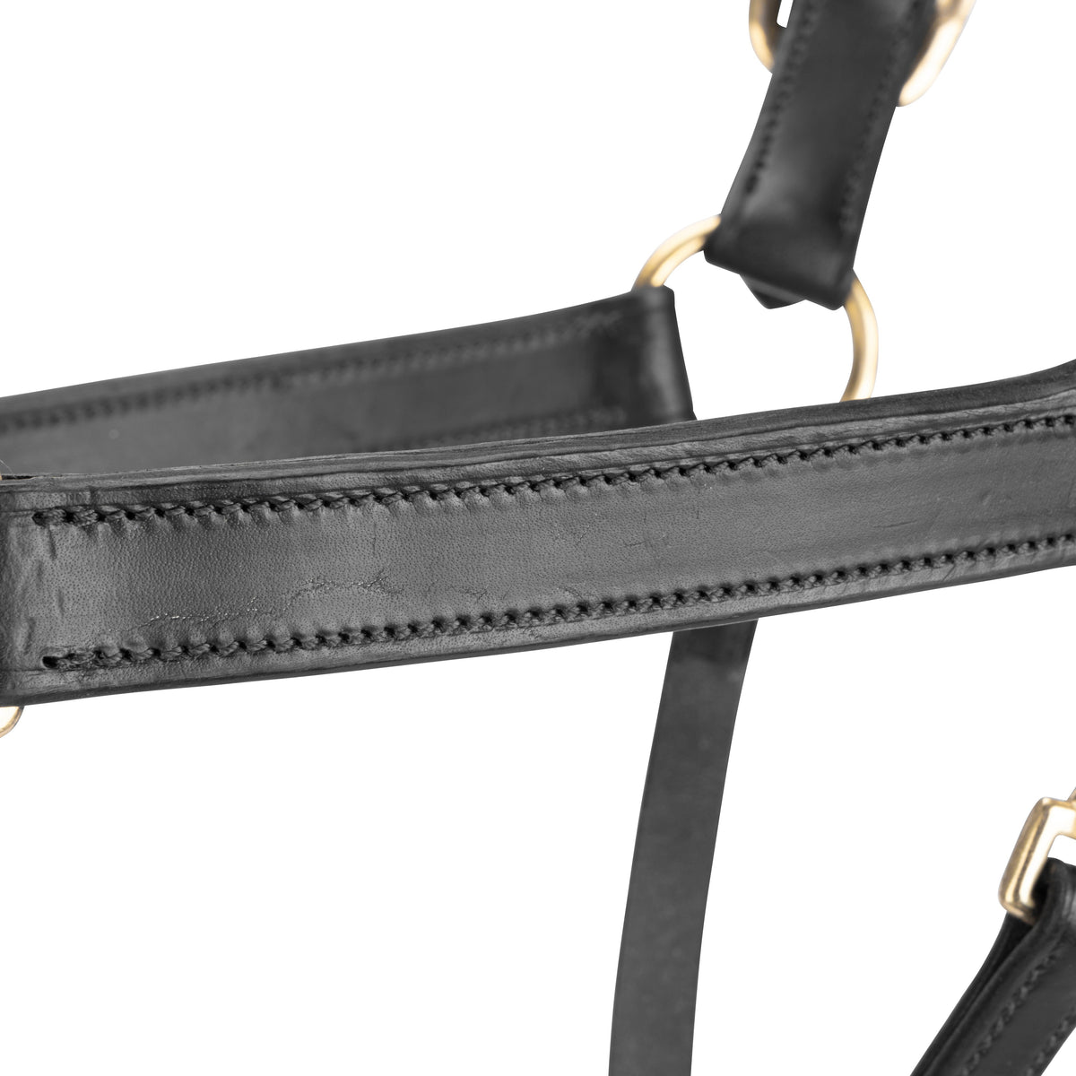 Licol de voyage en cuir Shires Velociti GARA