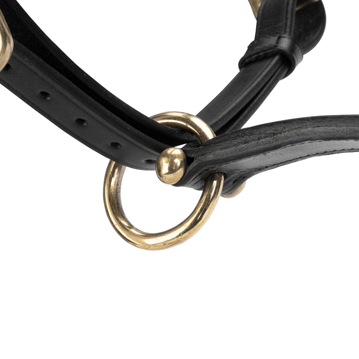 Licol de voyage en cuir Shires Velociti GARA