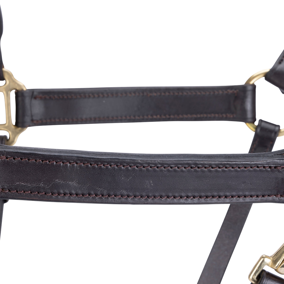 Licol de voyage en cuir Shires Velociti GARA